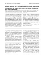 Báo cáo khoa học: Multiple effects of DiS-C3(5) on mitochondrial structure and function pot