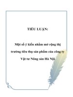 TIỂU LUẬN: Một số ý kiến nhằm mở rộng thị trường tiêu thụ sản phẩm của công ty Vật tư Nông sản Hà Nội pdf
