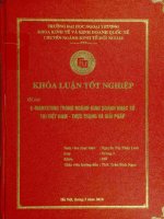 e_marketing trong ngành kinh doanh nhạc số tại việt nam, thực trạng và giải pháp