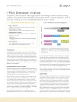 mRNA Expression Analysis