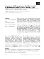 Báo cáo khoa học: Induction of PPARb and prostacyclin (PGI2) synthesis by Raf signaling: failure of PGI2 to activate PPARb potx