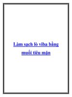 Làm sạch lò viba bằng muối tiêu mặn potx