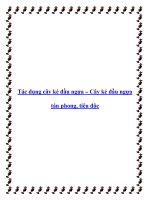 Tác dụng cây ké đầu ngựa – Cây ké đầu ngựa tán phong, tiêu độc docx