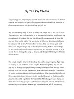 Sự Tích Cây Xấu Hổ potx