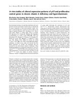 Báo cáo khoa học: In vivo studies of altered expression patterns of p53 and proliferative control genes in chronic vitamin A deﬁciency and hypervitaminosis pot