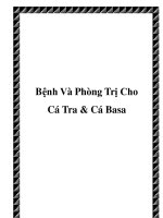 Bệnh Và Phòng Trị Cho Cá Tra & Cá Basa pot