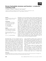 Báo cáo khoa học: Human haptoglobin structure and function – a molecular modelling study pptx