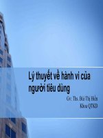 Lý thuyết về hành vi của ngƣời tiêu dùng ppt