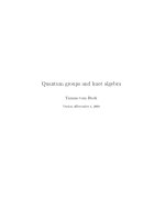 quantum groups and knot algebra - t. dieck