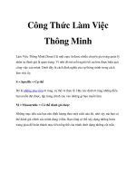 Công Thức Làm Việc Thông Minh pdf