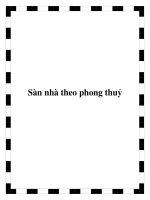 Sàn nhà theo phong thuỷ pptx