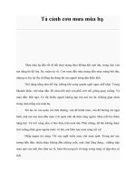 Tả cảnh cơn mưa mùa hạ docx