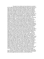 comparison between two guitars