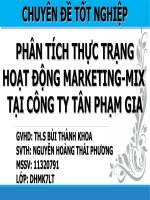 PHÂN TÍCH THỰC TRẠNG HOẠT ĐỘNG MARKETING-MIX TẠI CÔNG TY TÂN PHẠM GIA ppt