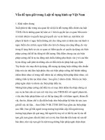 Vấn đề tạm giữ trong Luật tố tụng hình sự Việt Nam ppt