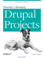 Planning and Managing Drupal Projects pot