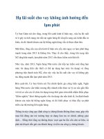 Hạ lãi suất cho vay không ảnh hưởng đến lạm phát potx