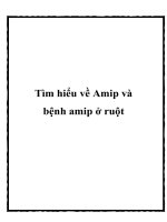 Tìm hiểu về Amip và bệnh amip ở ruột ppt