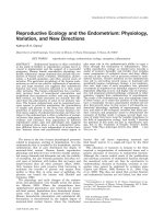 Reproductive Ecology and the Endometrium: Physiology, Variation, and New Directions docx