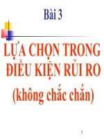 Lựu chọn trong điều kiện rủi ro pptx
