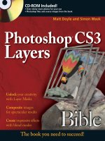 Photoshop CS3 layers Bible