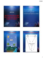 Khả năng chuyển hóa của hợp chất cacbon trong môi trường tự nhiên ppt