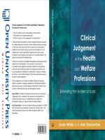 Clinical Judgement in the Health and Welfare Professions Extending the evidence base pot
