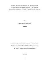 corporate social responsibility strategies for sustainable development for small and medium enterprises in the village of bac ninh province, vietnam