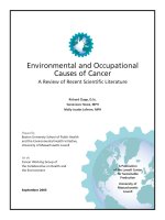 Environmental and Occupational Causes of Cancer: A Review of Recent Scientifi c Literature ppt
