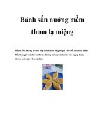 Bánh sắn nướng mềm thơm lạ miệng pdf