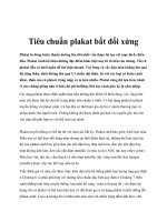 Tiêu chuẩn plakat bất đối xứng pdf