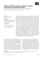 Báo cáo khoa học: Afﬁnity of S100A1 protein for calcium increases dramatically upon glutathionylation docx
