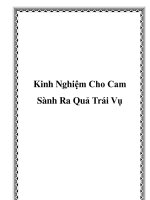Kinh Nghiệm Cho Cam Sành Ra Quả Trái Vụ docx
