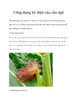 Công dụng kỳ diệu của râu ngô doc