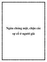 Ngừa chóng mặt, chặn các sự cố ở người già ppt