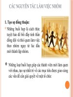 Kĩ năng làm việc nhóm (slide) pptx