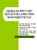 CHƯƠNG 8: ĐẶC ĐIỂM VÀ THỰC TRẠNG QUAN HỆ LAO ĐỘNG TRONG DOANH NGHIỆP Ở VIỆT NAM. pot