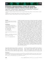 Báo cáo khoa học: Proteomic characterization of lipid raft proteins in amyotrophic lateral sclerosis mouse spinal cord pot