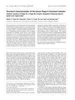 Báo cáo khóa học: Structural characterization of the human Nogo-A functional domains Solution structure of Nogo-40, a Nogo-66 receptor antagonist enhancing injured spinal cord regeneration ppt