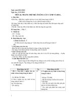 Trang trí nhà ở bằng cây cảnh và hoa