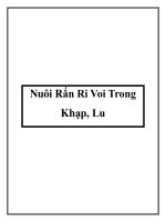 Nuôi Rắn Ri Voi Trong Khạp, Lu pot