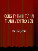 CÔNG TY TNHH TỪ HAI THÀNH VIÊN TRỞ LÊN pptx