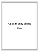 Cá cảnh cùng phong thủy pot