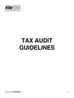 TAX AUDIT GUIDELINES DE 40 (9-04) (INTERNET) docx
