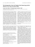 Báo cáo khoa học: The heterogeneity of mast cell tryptase from human lung and skin Differences in size, charge and substrate afﬁnity ppt