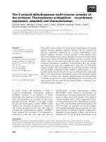 Báo cáo khoa học: The 2-oxoacid dehydrogenase multi-enzyme complex of the archaeon Thermoplasma acidophilum ) recombinant expression, assembly and characterization docx