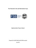 The Financial Crisis and Information Gaps: Implementation Progress Report potx