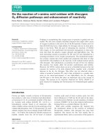 Báo cáo khoa học: On the reaction of D-amino acid oxidase with dioxygen: O2 diffusion pathways and enhancement of reactivity docx