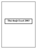 Thủ thuật Excel 2003 potx