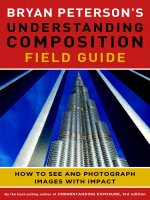 Bryan petersons understanding composition field guide docx